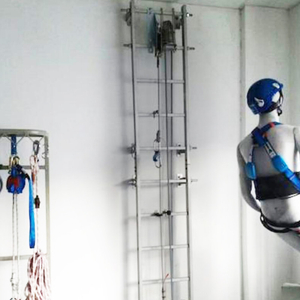 Vertical Fall Arrest System Fall Protection Safety Equipment for Different Tower Types
