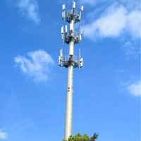 Customized Monopole tower Telecommunication Camouflage Tower with Fiberglass Cover