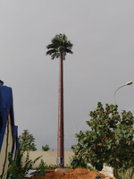 HDG Communication Monopole Camouflage Tubular Tower with Steel Frame